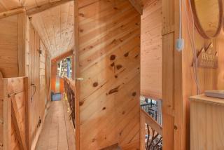 Enchanted Forest Super Cozy Cabin on 2 Acres Sledding Hills Tree Swing Pool Table - 5