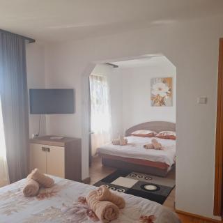 Pensiunea Casa Ancuta - 6