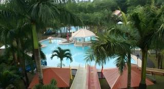 Pineapple Island Resort - 5