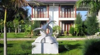 Aniise Villa Resort - 6
