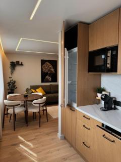 Modern City Apartment with River View - 4