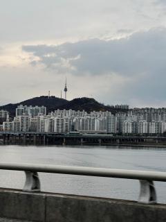 Stay Here Hanyang City Daehakro Seoul National University Hospital Changgyeong Palace Gyeongbok Palace - 4