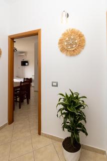 Typical Apartments Vlore - 7