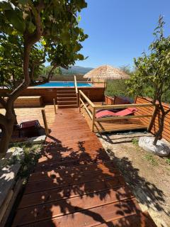 Ca’del Borgo B&B Country House - Ogliastro Cilento - 8