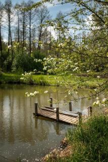 Zacisze nad Sanną - 5