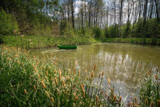 Zacisze nad Sanną - 8