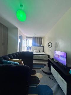 COZY AND MODERN SUPERIOR Studio NEAR AIRPORT - 2