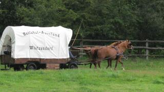 Heidehof Auenland - 4