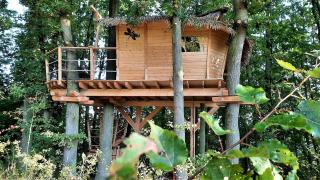 Treehouses Karlov pod Pradědem - 0