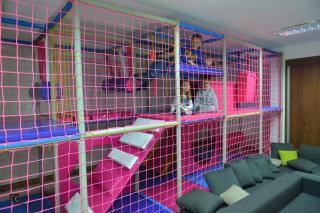 Apartman BOKUN - 2