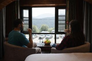 Pine view - 2