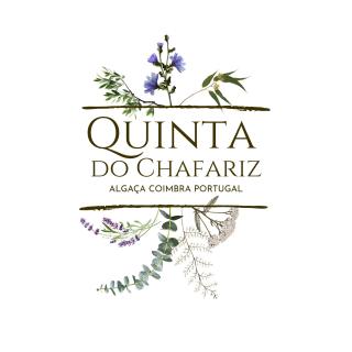 Quinta do Chafariz - 6