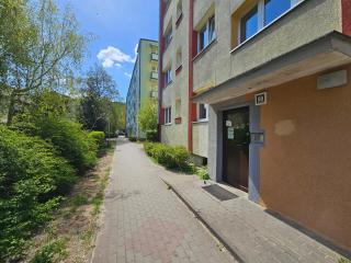 Apartament Matejki - Toruń - 8