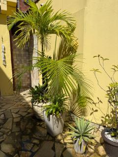 Flats Jordão - 8