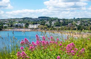 5 Bed in Torquay oc-bcvane - 9