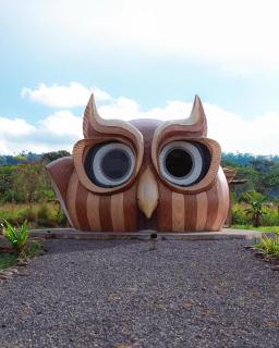 Animal Glamping - 9