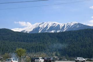 Pine view - 7