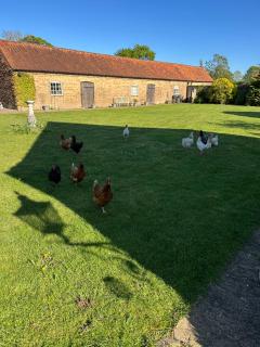 Charming Hen Cottage Countryside Retreat Lincoln - 9