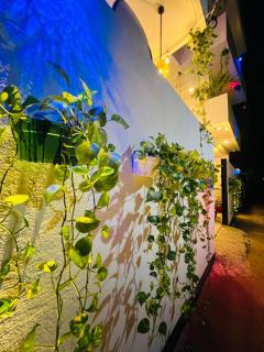 Saffron Swell Villa - 2