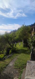 Apartments Spalj 1 i 2 - Senj - 9