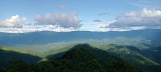 Avi Homestay - 3