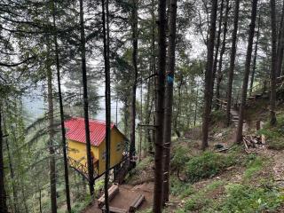 The dreamers nest - 3