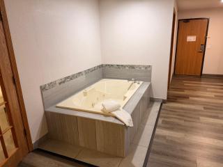 Comfort Suites Wisconsin Dells Area - 3