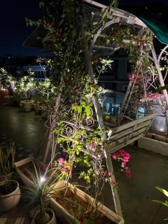 Misty BNB And Homestay - 3