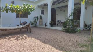 Kijibwe Chui Jambiani - 1