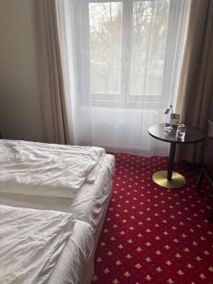 Windsor - 8