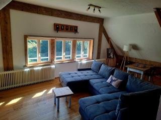 Schwarzwald Chalet - Karlshütte - Neuweg - 8