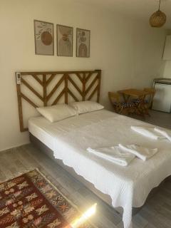 Çağdaş Village house - 4