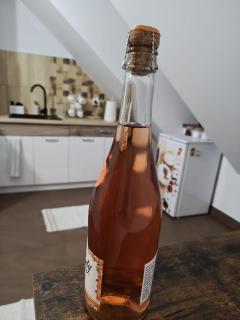 Przystań Na Apartament w Sercu Pienin - 7