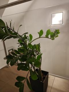 Przystań Na Apartament w Sercu Pienin - 3