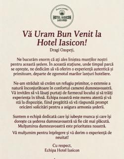 Hotel Iasicon Lacu Roșu - 8