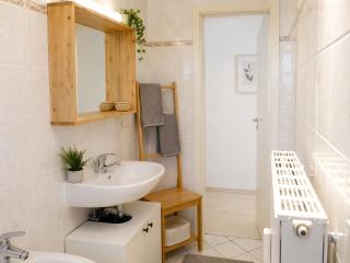 Cosy Apartment with kitchen&Netflix in Dresden Neustadt - 5