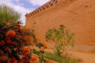 Riad La Voix des Amazones - 1