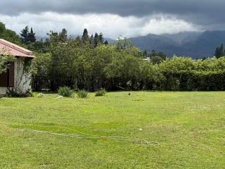 Alquilo casa en Tafi del Valle - 6