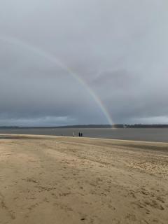 Reet-Denkmal am Elbstrand - 2