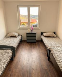 Apartament z ogrodem przyjazny zwierzętom - 5