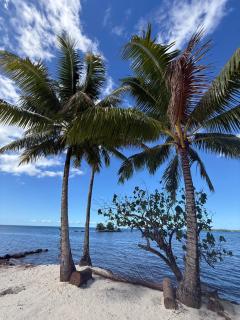 Noariki Beach House 1 - 5