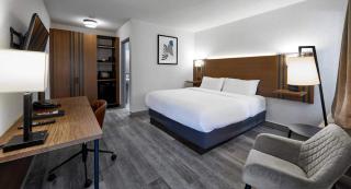 Stay Inn Express Toronto - 8