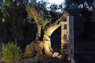 Terra Mater - Exclusive Cottage - - 3