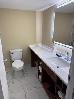 Holiday Lodge Hotel and Conference Center - 4
