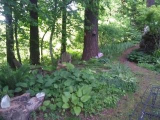 Private, comfortable, Hillsdale Apartment - 2
