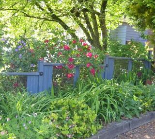 Private, comfortable, Hillsdale Apartment - 1