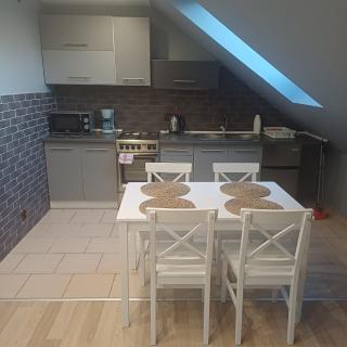 Apartament Wolin nad wodą koło Miedzyzdrojów - 1
