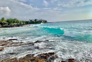 White Sands Village, Upgraded 2BR, Great View - 9