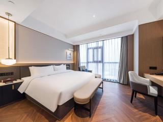 Mercure Jinan Hanyu Financial Business Centre - 5