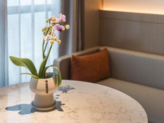 Mercure Jinan Hanyu Financial Business Centre - 2